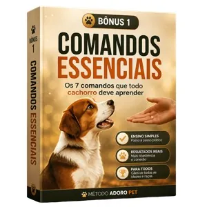 Bônus: Comandos Essenciais