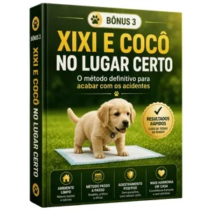 Bônus: Xixi e Cocô no Lugar Certo